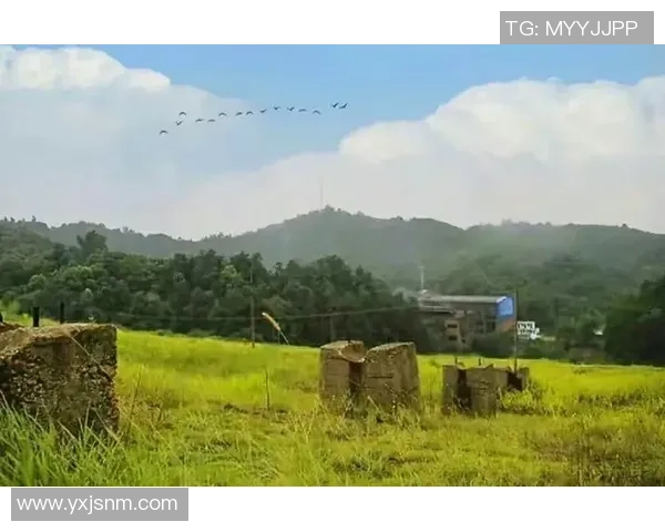 足球场上的兄弟情谊与梦想共舞的传奇故事 足球场上的兄弟情谊与梦想共舞的传奇故事