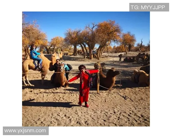 足球明星魅力四射海报插画展现运动激情与梦想追逐的完美结合 足球明星魅力四射海报插画展现运动激情与梦想追逐的完美结合