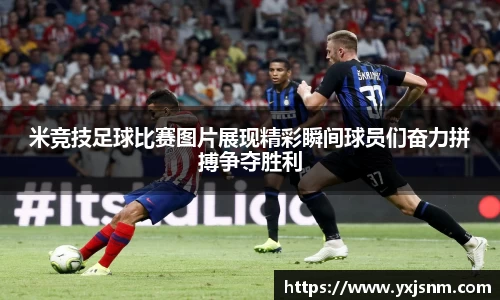 九游娱乐官方网站