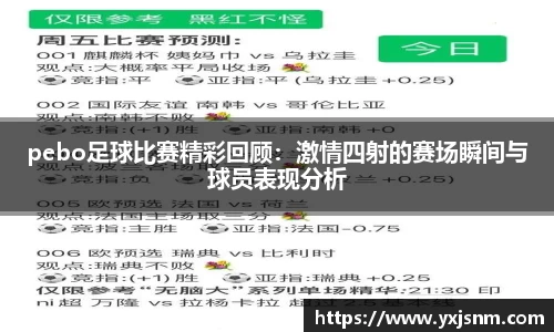 pebo足球比赛精彩回顾：激情四射的赛场瞬间与球员表现分析