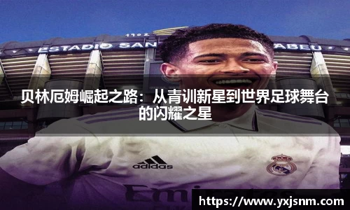 九游娱乐