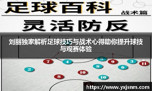 刘丽独家解析足球技巧与战术心得助你提升球技与观赛体验
